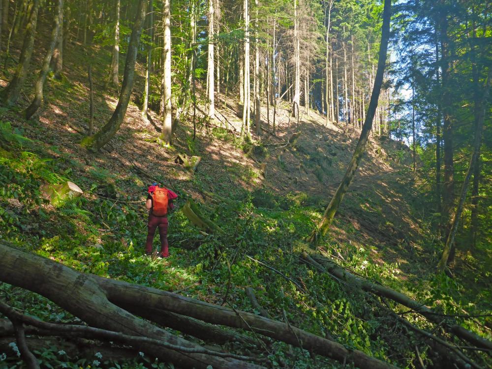 Winterbacher &Ouml;tscher (26 Bildaufrufe)
