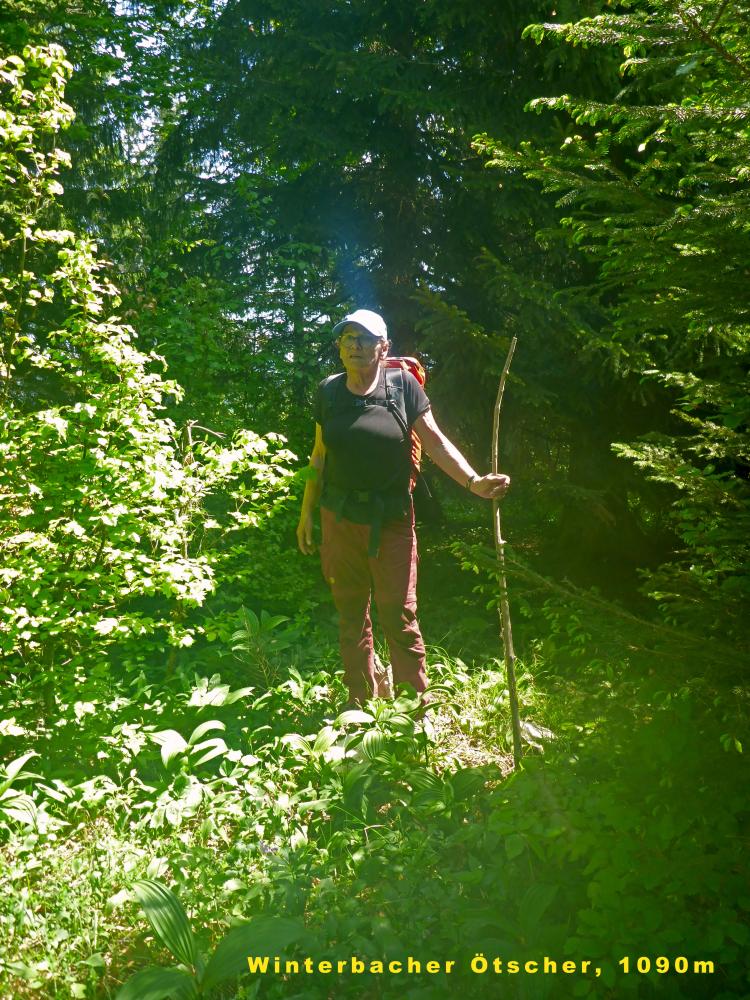 Winterbacher Ötscher (25 Bildaufrufe)