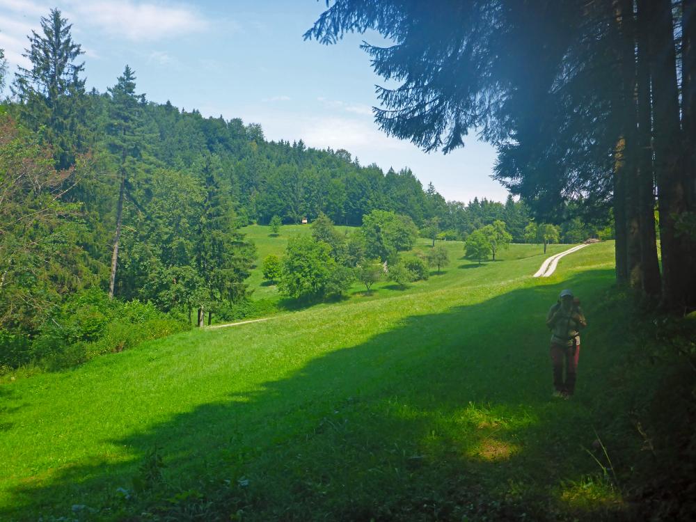 Hochreithspitz (30 Bildaufrufe)