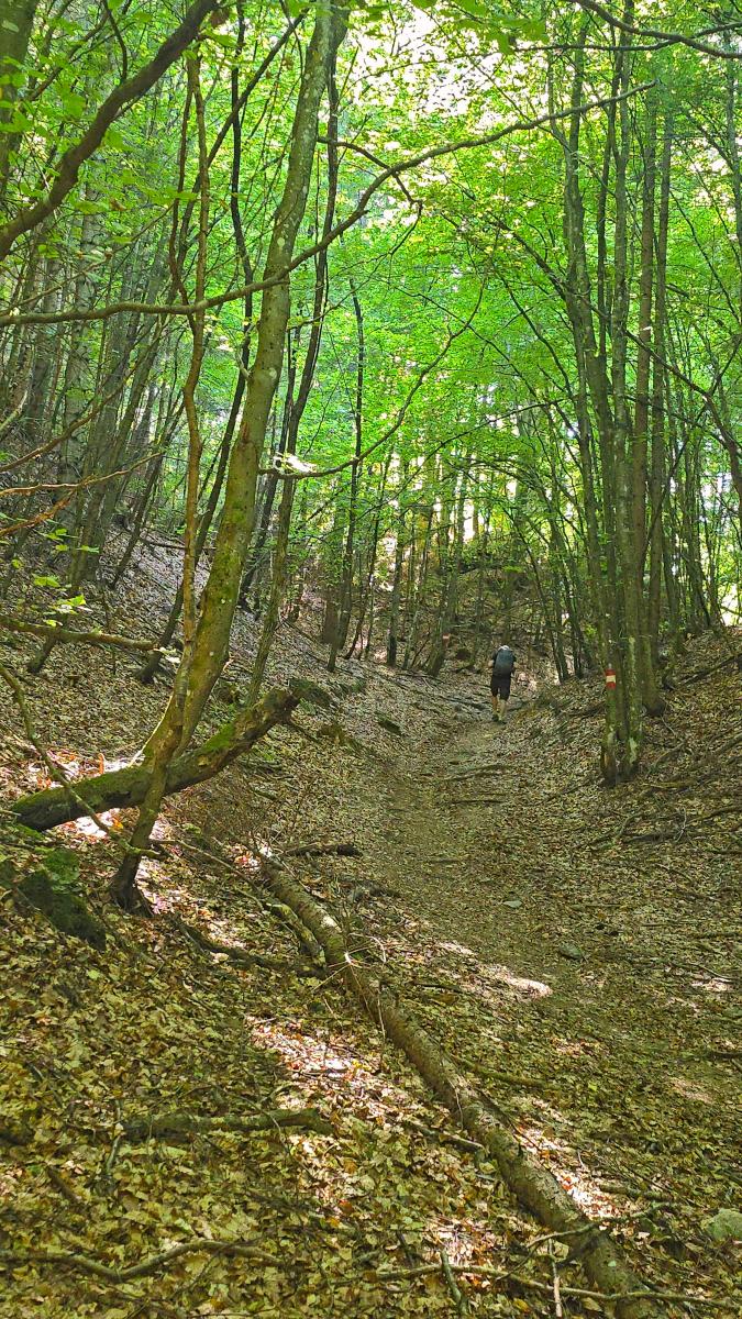 Hoher Gallin (33 Bildaufrufe)