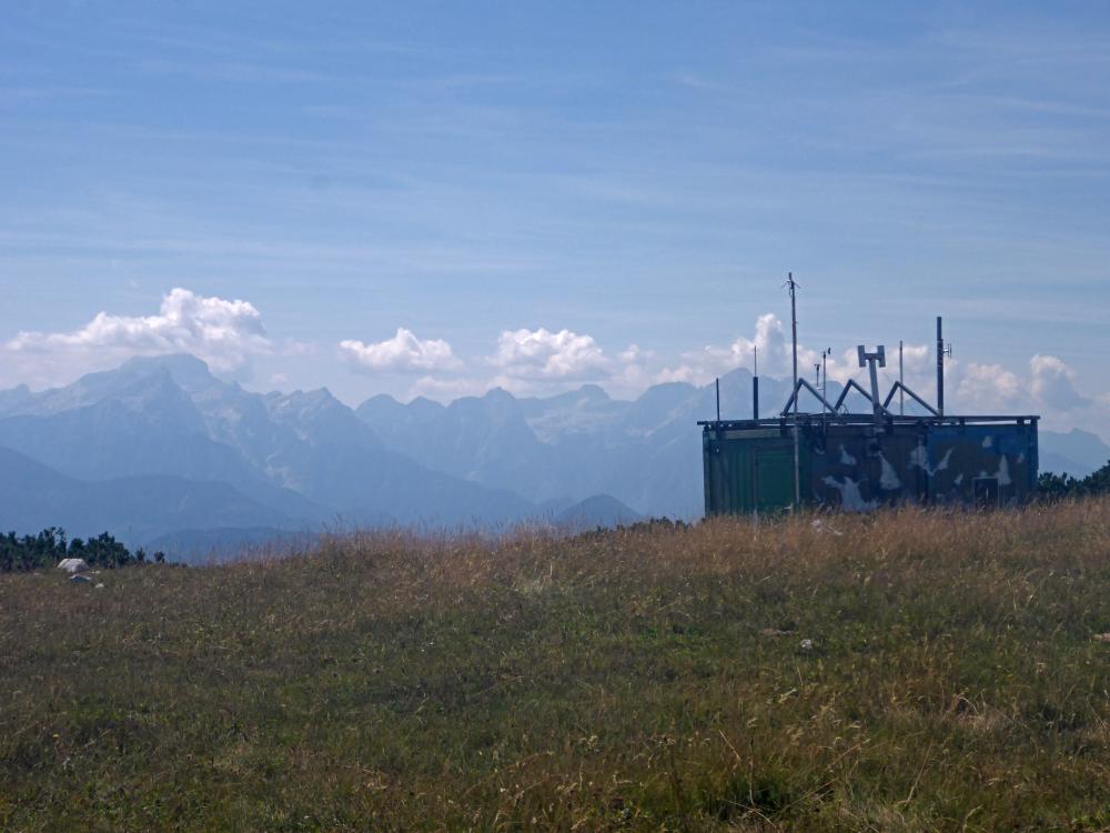 B&auml;rentaler Kotschna (36 Bildaufrufe)