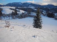 Hochstadelberg (116 Bildaufrufe)