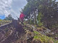 Mittagsnock (34 Bildaufrufe)