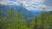 Mittagsnock (32 Bildaufrufe)