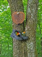 Herrenwald (28 Bildaufrufe)