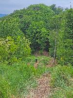 Herrenwald (29 Bildaufrufe)