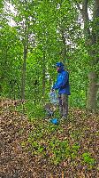 Herrenwald (31 Bildaufrufe)