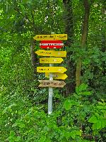 Herrenwald (27 Bildaufrufe)