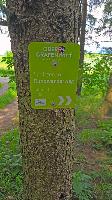 Im Hochholz (24 Bildaufrufe)