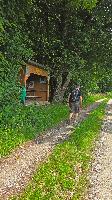 Im Hochholz (22 Bildaufrufe)