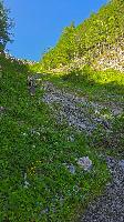 Bild 3 (22 Bildaufrufe)
