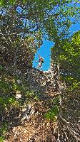Bild 5 (22 Bildaufrufe)