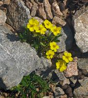 Bild 11 (25 Bildaufrufe)