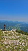Bild 14 (21 Bildaufrufe)