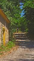 Bild 5 (16 Bildaufrufe)