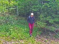 Bild 8 (20 Bildaufrufe)