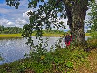 Bild 11 (19 Bildaufrufe)