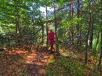 Bild 7 (34 Bildaufrufe)