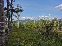 Bild 9 (35 Bildaufrufe)