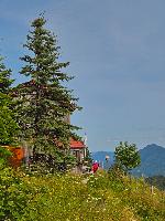 Bild 11 (31 Bildaufrufe)