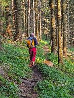 Bild 12 (34 Bildaufrufe)