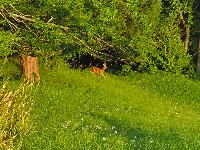 Bild 13 (33 Bildaufrufe)