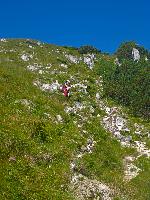 Bild 4 (54 Bildaufrufe)