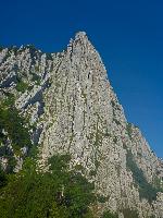 Bild 6 (51 Bildaufrufe)