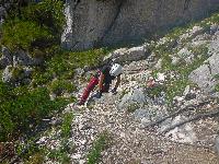 Bild 7 (48 Bildaufrufe)