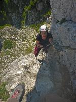 Bild 10 (49 Bildaufrufe)