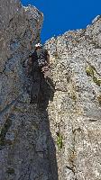 Bild 11 (48 Bildaufrufe)
