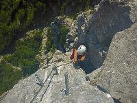 Bild 13 (53 Bildaufrufe)