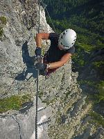 Bild 15 (48 Bildaufrufe)