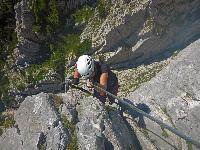 Bild 17 (47 Bildaufrufe)