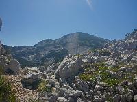 Bild 28 (40 Bildaufrufe)