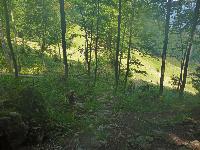 Bild 5 (34 Bildaufrufe)