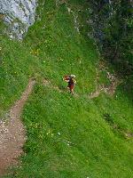Bild 8 (38 Bildaufrufe)