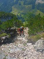 Bild 14 (35 Bildaufrufe)