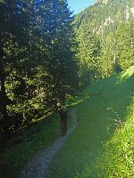 Bild 1 (28 Bildaufrufe)