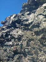 Bild 13 (29 Bildaufrufe)