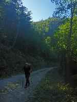 Almkogel (36 Bildaufrufe) Almkogel (36 Bildaufrufe)