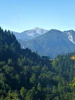 Almkogel (40 Bildaufrufe) Almkogel (40 Bildaufrufe)