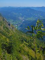 Almkogel (39 Bildaufrufe) Almkogel (39 Bildaufrufe)