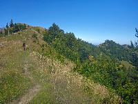 Almkogel (45 Bildaufrufe)