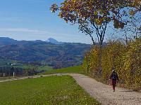 Rudolfshöhe (8 Bildaufrufe) Rudolfshöhe (8 Bildaufrufe)