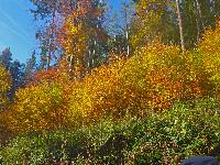 Rudolfshöhe (9 Bildaufrufe) Rudolfshöhe (9 Bildaufrufe)