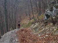 Gaisbühel (33 Bildaufrufe)