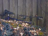 Frankenfelsberg (19 Bildaufrufe) Frankenfelsberg (19 Bildaufrufe)