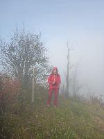 Frankenfelsberg (16 Bildaufrufe)