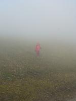 Frankenfelsberg (16 Bildaufrufe)